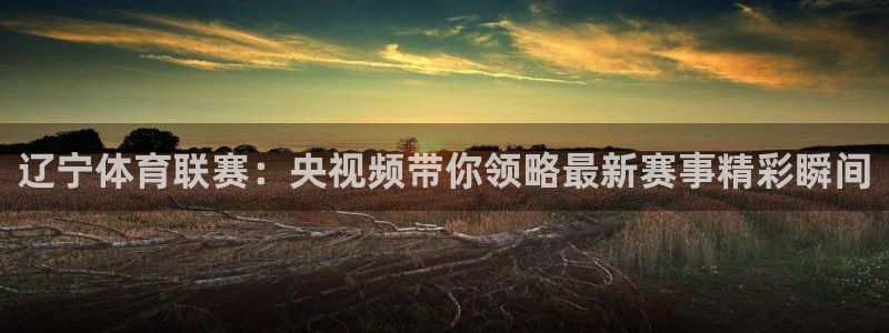 辽宁体育联赛：央视频带你领略最新赛事精彩瞬间