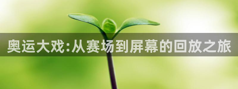 奥运大戏:从赛场到屏幕的回放之旅