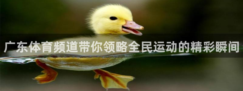 广东体育频道带你领略全民运动的精彩瞬间